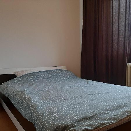 Ultracentral Apartment Bulevard Regele Mihai Nr 10, Sc A Ap 16 Timisoara Ngoại thất bức ảnh